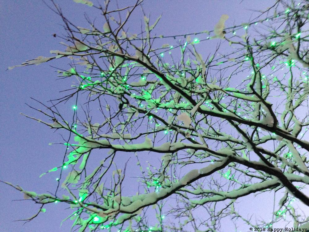 Tree lights glow green backlit by a grey sky, they glow, that is the important part, they glow