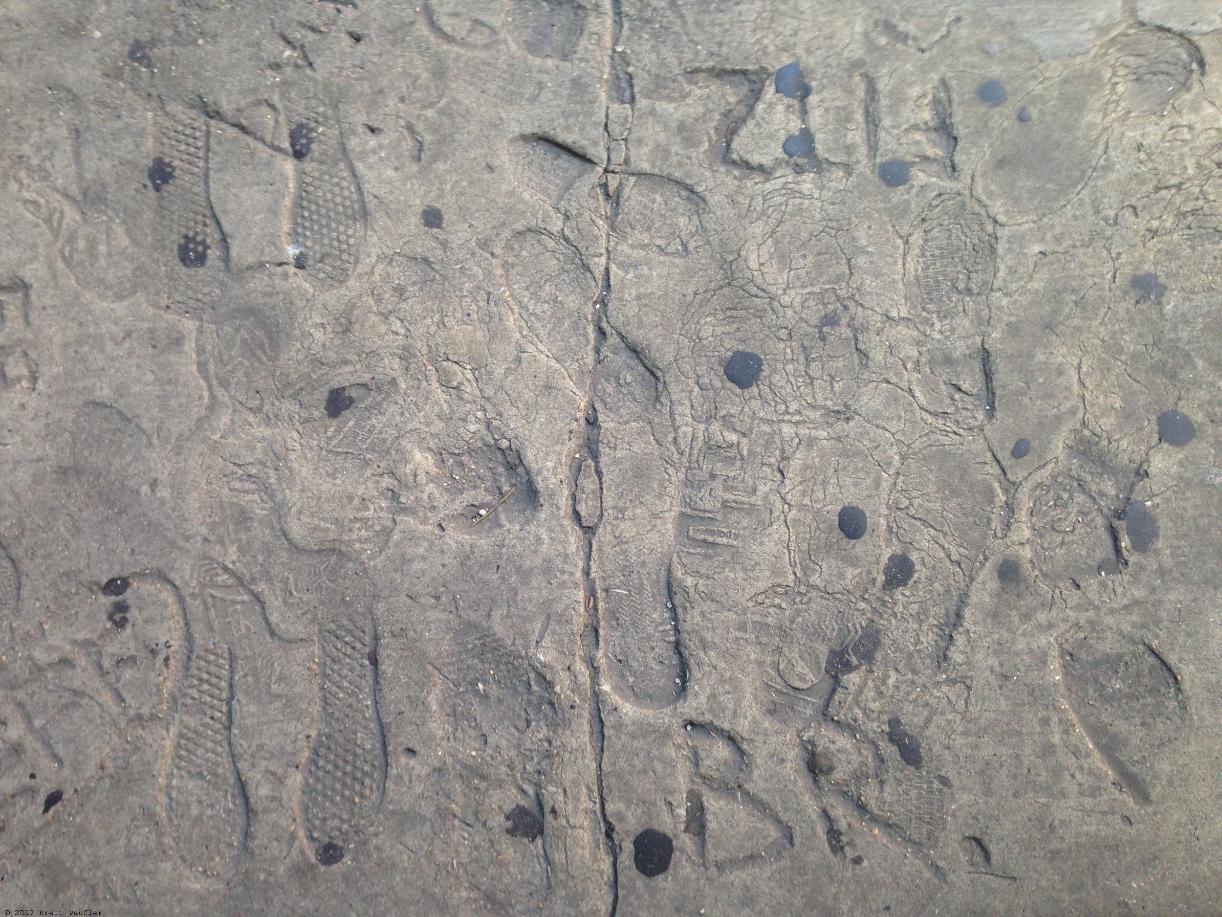 Foot prints in concrete actually, thus, cleverly, making a cerebral play at the usual image of a footstep in the sand destined to wash away, here done in concrete, it was a smallish area of the sidewalk, just a few squares, heavily impacted surrounded by standard concrete walk