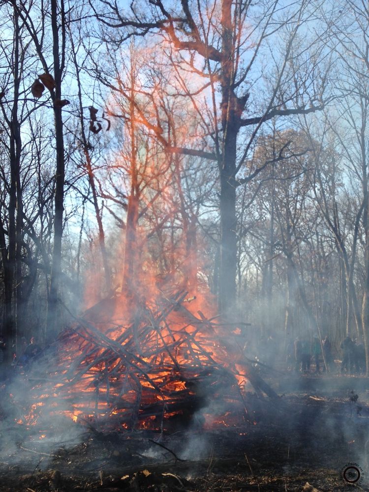 a big old bonfire with flames stretching to the sky in the middle of a forest smoke filling the scene