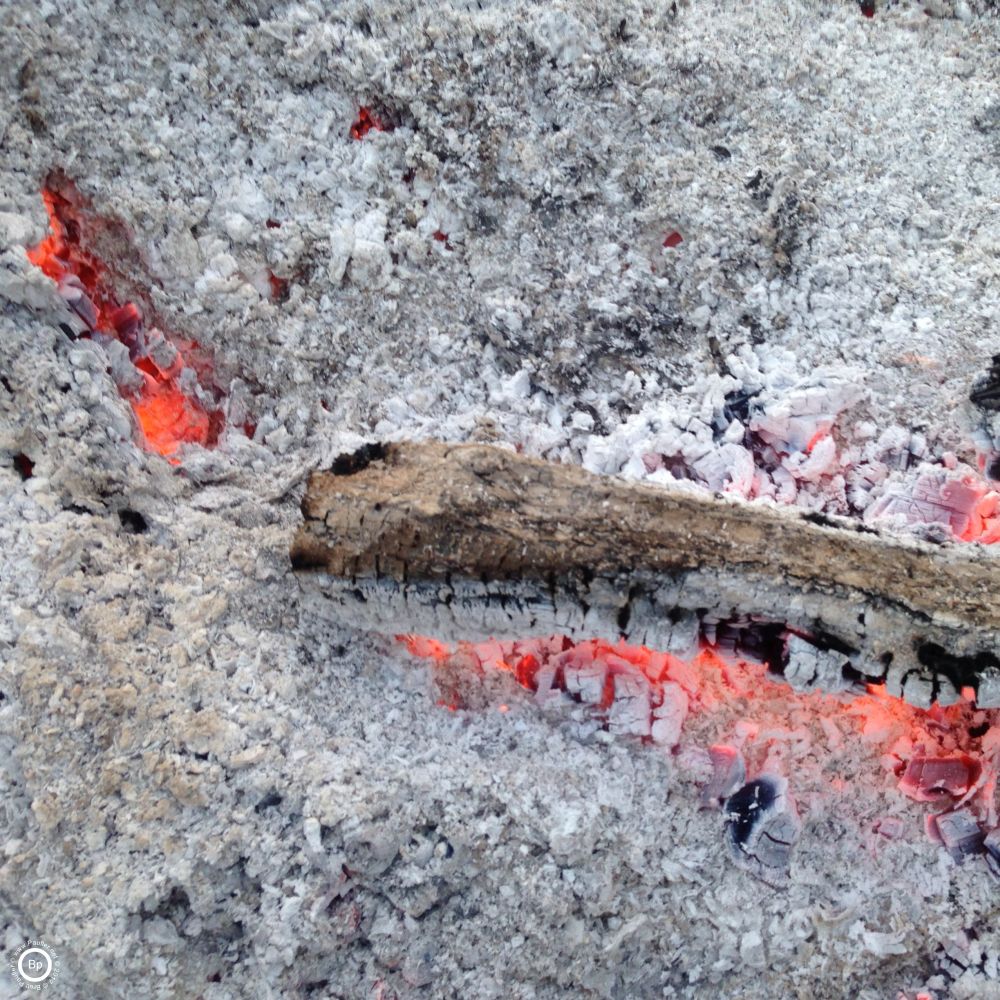 a log turmed to ember