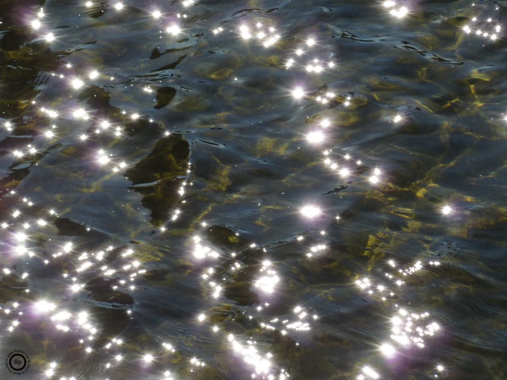 All images taken in Hawaii, this was likely taken at a resort, some Koi Pond, which could be hard to tell, as there are no Koi present, still, I like the way the sun reflects, very pretty