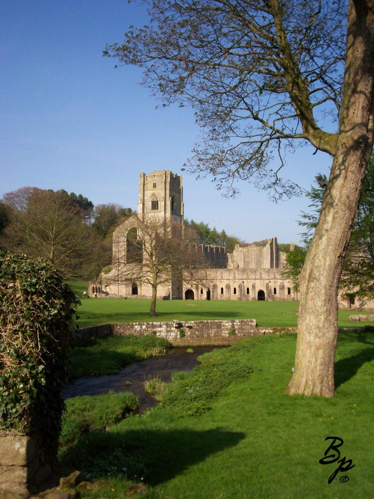 looking down a very slight water way, the abbey is framed in the distance between a tree and a shrub, it was quite the park, a pleasant place to spend a day, I could easily do it or another like it again, and if I were a local, I might drop by on the regular, whenever they talk of medieval villages, whoever they are, I picture this place, filling it out with the scores and scores of labourers and dependents who would have occampanied the monks