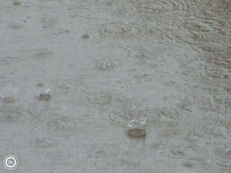 Raindrops, images of water dropping in puddle