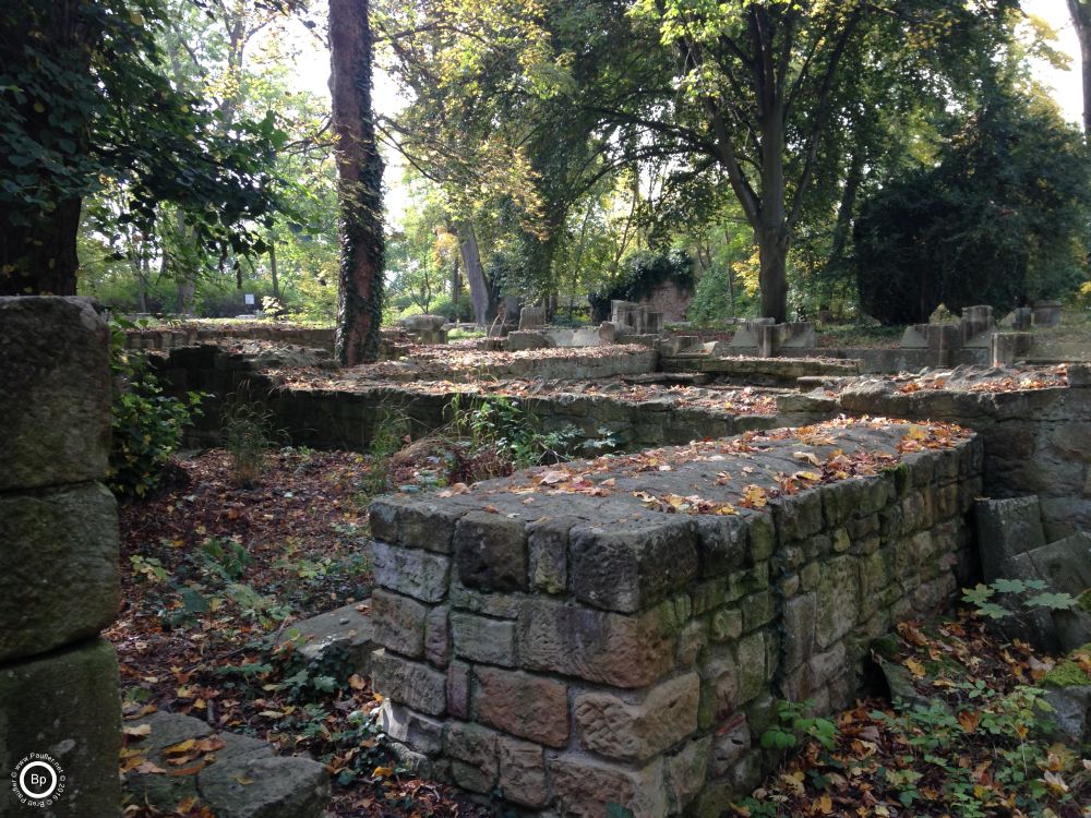 images from a ruins, the pair, this one is of low walls made of stone, a nice view across the forested glen where once stood a monestary