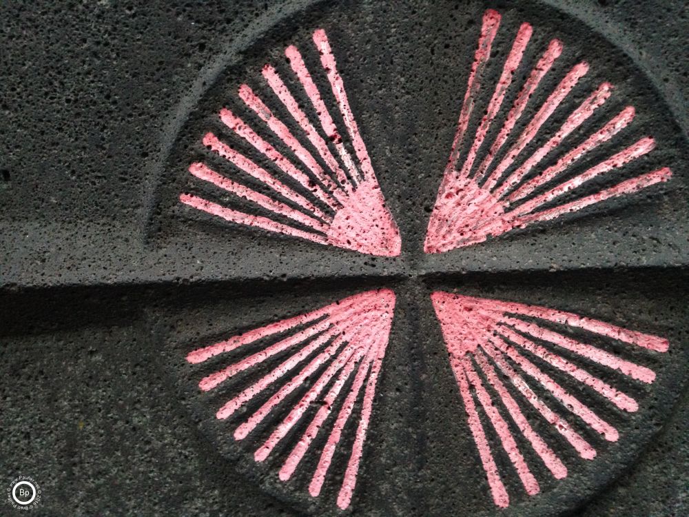 pink starburst on stone