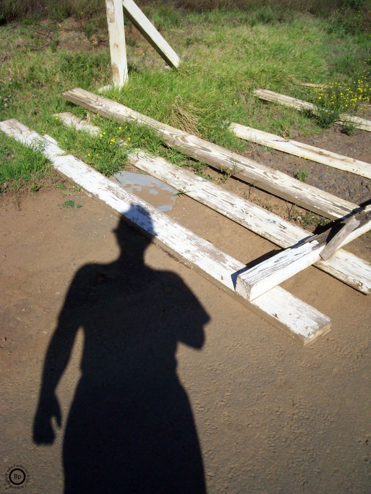 I like how the shadow hits the gate, likely I started doing this type of image after noting that my shadow sometimes happened to fall into the frame and liking the effect