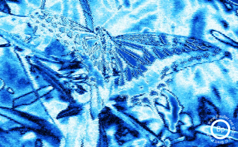 A Butterfly Done in Science Fiction Blue Shift Effect