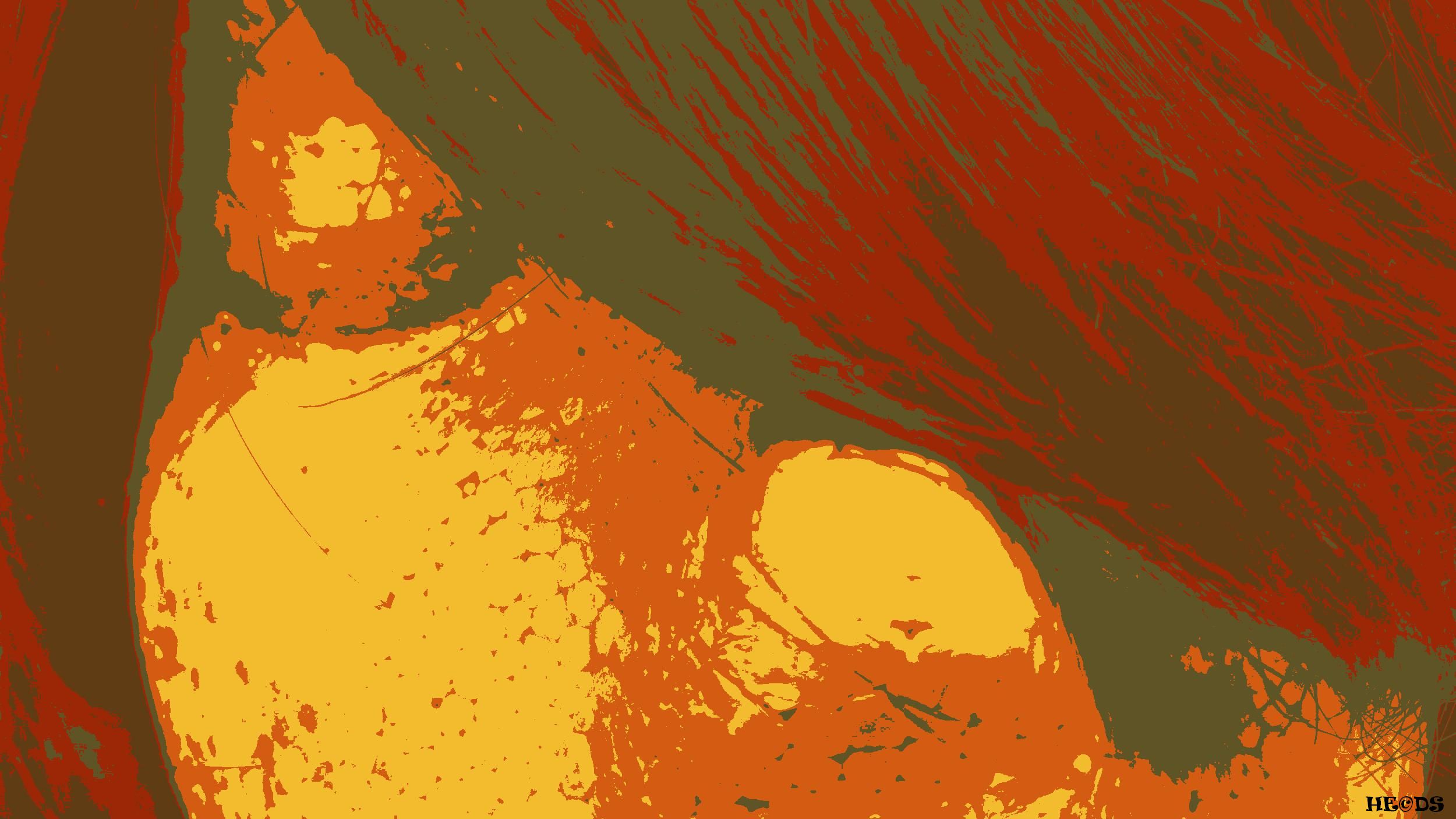 close up of face, hair covering one eye, put through a red brown posterize palette filter