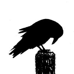 silhouette of crow bowing, both on fence posts