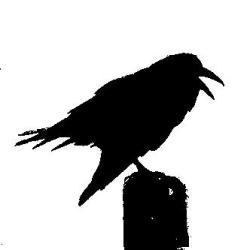 the second two are repeats of the first two, this is a black and white, solid black image of a crow squawking, so a silhouette