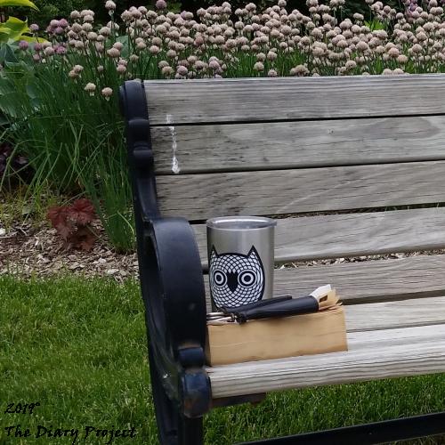 Park Bench with Coffee Travel Mug with Owl, Hand Exerciser, Book