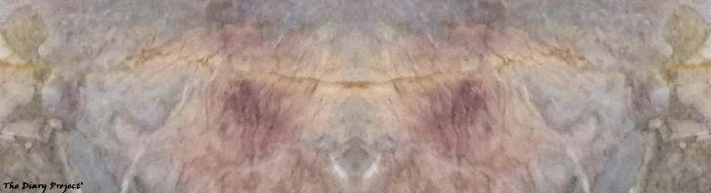 A close up of decorative marble around an eye, flipped, so it looks like a face, sort of, not really too much, not thinking many people will see it... or see it as a face