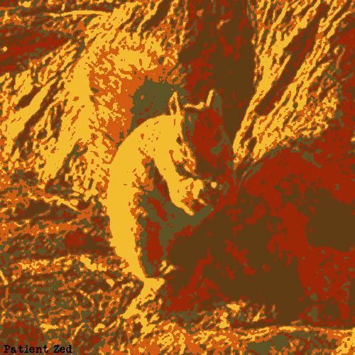 Squirrel put through a five color brown red posterize filter