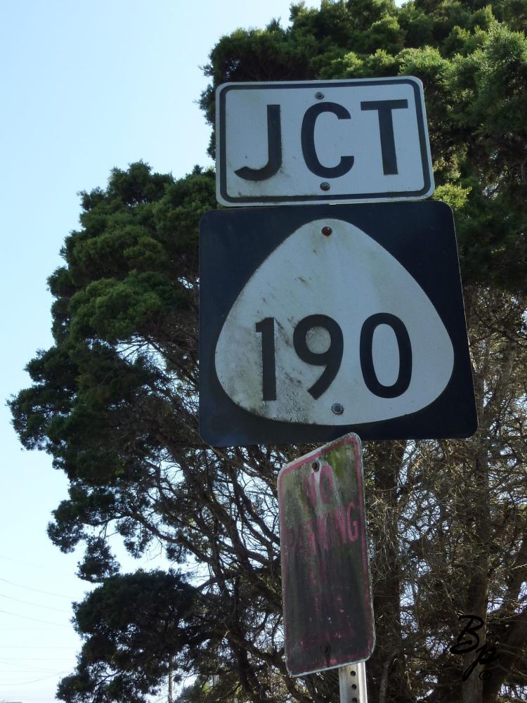 Actually, I do not remember the number, the number was not important, it was called the upper road, from Waimea to Havi, I might have spelled that last wrong and consisted of three principal stages, winding up the side of the hill from the dry side to the often fog shrouded wet, going through a wind swept forest which is the subject of the next picture, and then across verdant fields twinkling in the sun flipping between full sun and fog, and then, finally, a four stage as one wound into town, but by then the drive was over