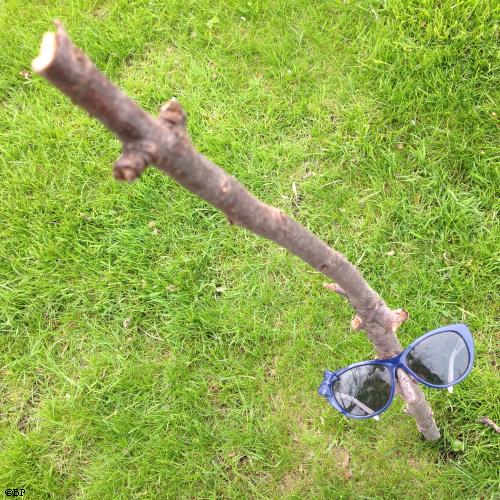 A stick stuck in the ground with a pair of sunglasses hung off it in an amusing way, turning the stick into a sort of face