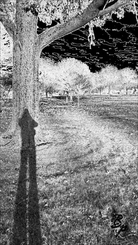 I would likely call the tree Yggsdryll if I were more confident of the spelling.  This is near The Bench in The Park on A Walk. I am sure there is some symbollism going on there.  But I do not feel like deconstructing it for you today.  For those who are having trouble making the image out, we are talking about a pleasant park view, a tree in the foreground with my shadow being cast on the trunk, trees and a lawn in the mid-ground, while a black deconstructed sky accounts for the far view.  The lot has been put through the first standard output in my LEGO filter script, which creates a Black and White image countourish in nature.  But given the close lines provided by the natural landscape, the only part of the image really effected is the sky, which is almost totally black, a few lines outlining what could be clouds or deviations in the color gradient of a mostly blue sky.  Surreal.  Spiritual.  Creepy.  Looking Beyond.  Of the class Shadow Work.  Not that it is possible to tell, but I presume I am wearing my Bears Baseball Cap and Army Jacket.  I do love that Army Jacket.