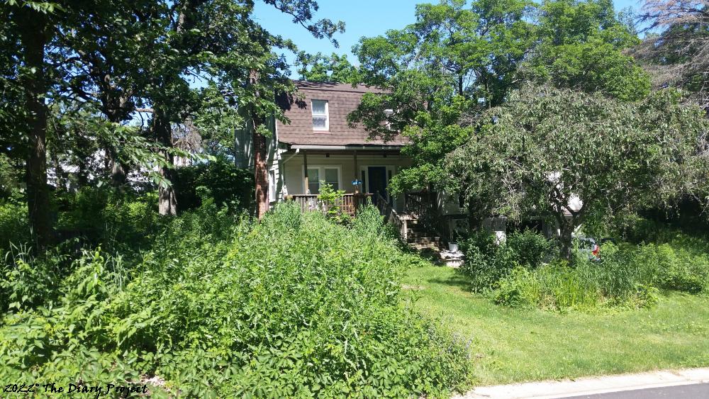 Front Porch and Upper Story (Crows Nest) peaking out from behind a verdant forest