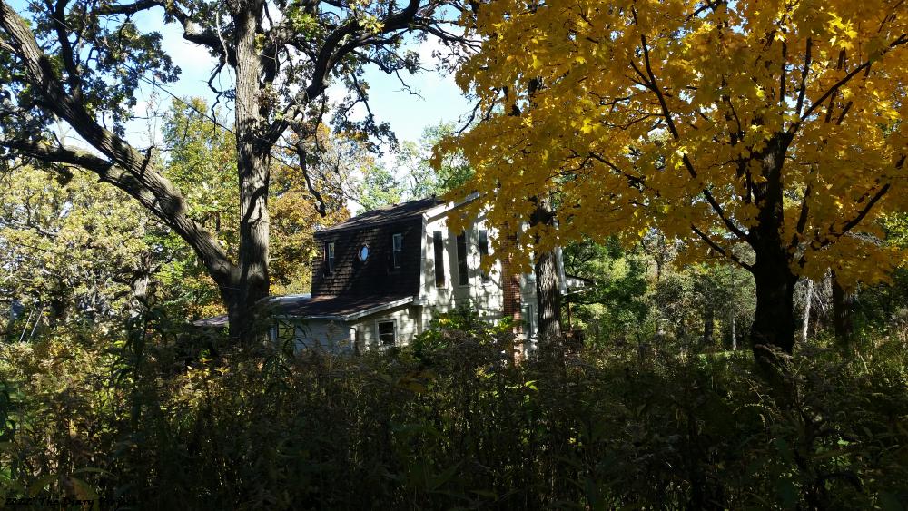 view from The DMZ towards house in The Fairie Lands full-on fall, leaves a blazing