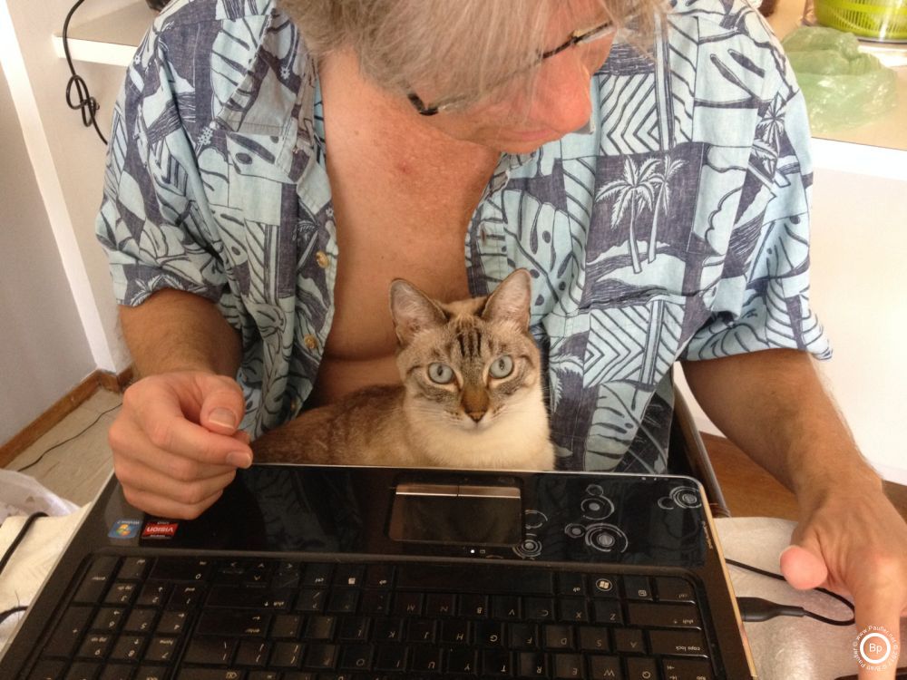 These websites just do not write themselves, you know, here we have a cat editing my work, making sure that I get it right, or maybe it was close to time to eat, a cat gets more friendly about then, or if that is not clear, a cat sits in my lap as I play on a computer