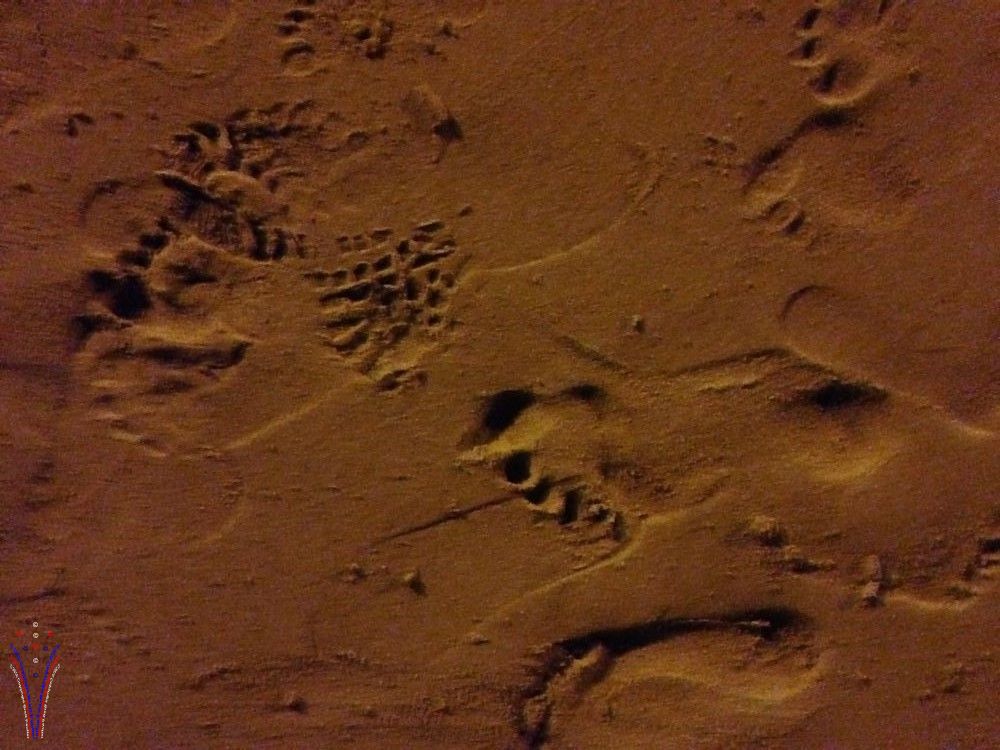 night image of footsteps int he sand, these are all night images