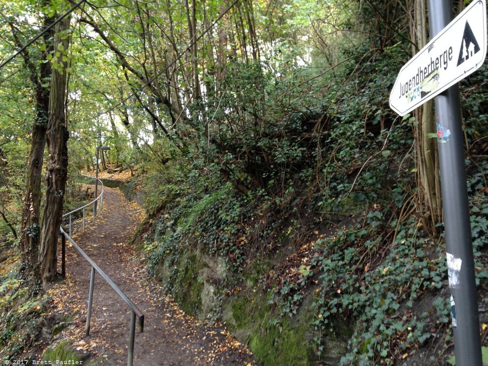 Another path in the woods wiht a sign showing the way