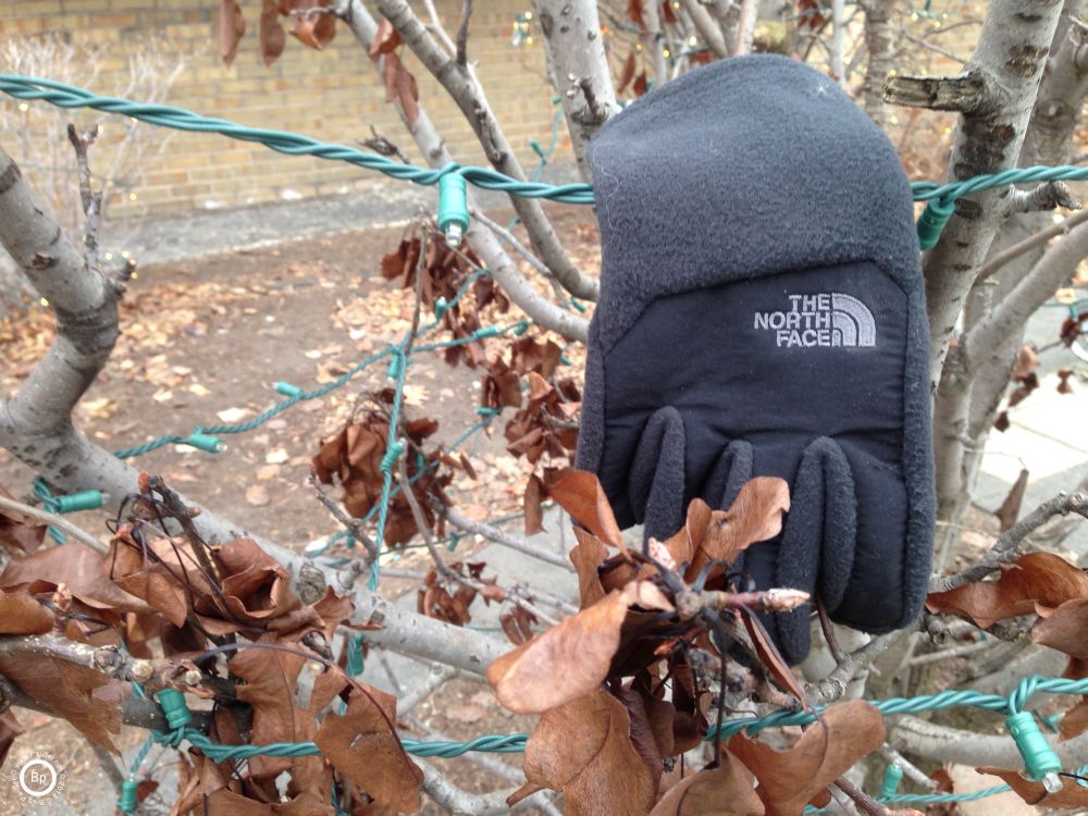 folks would often place found clothing on fence posts and what not, here is a glove placed in a tree next to christmas lights, I took this one