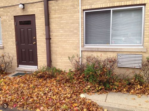 the next five are of the front step, leaves