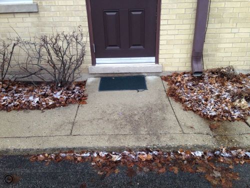 frosted with snow, same doorway