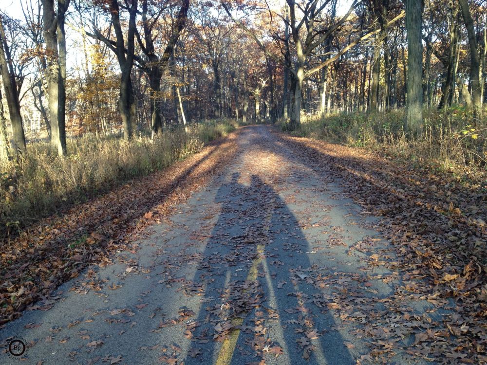 Me and My Shadow, Birds of a feather, a nice view of the walk in that first forest journey, but it is the shadows on the ground that tell the story, of me and another