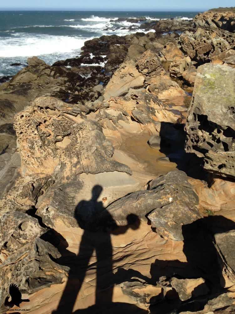 Shadow work, me holding a track and field throwing disc that I carried around during my visit for a bit of exercise.