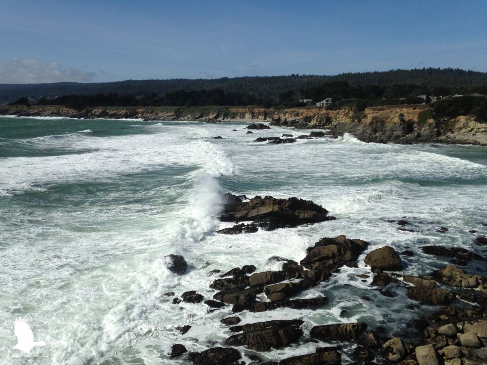 Northern California Coastline