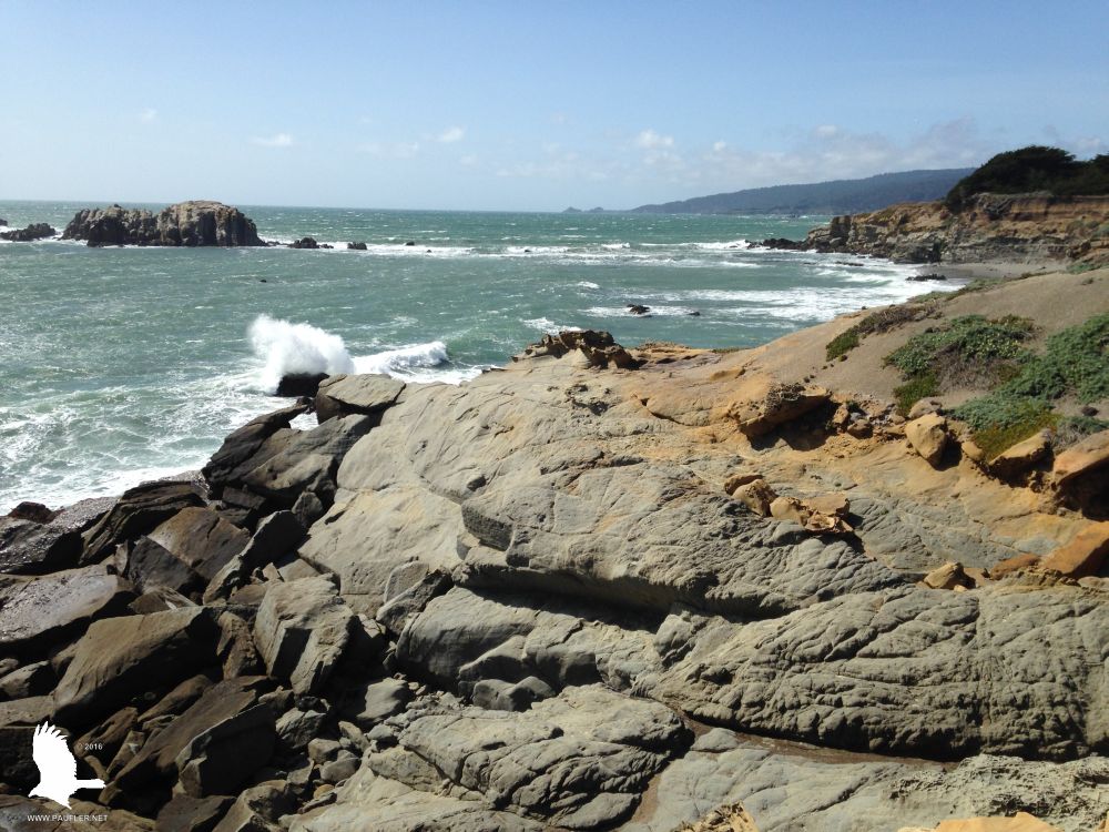 Northern California Coastline