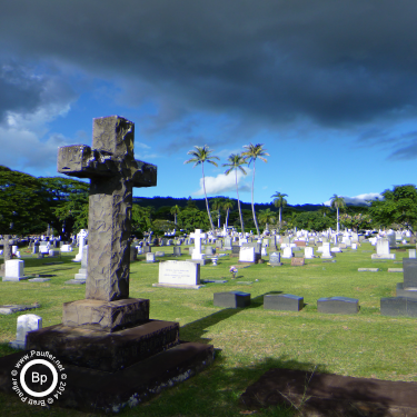tropical cemetery with stone cross gravestone marker - blue shift push