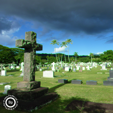 tropical cemetery with stone cross gravestone marker - green shift push