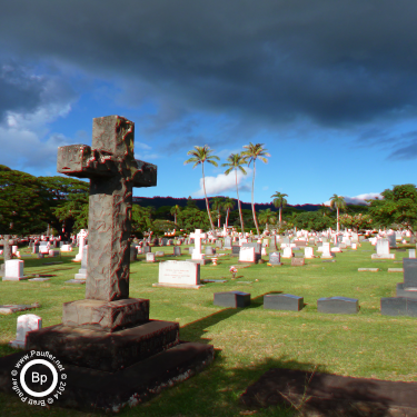 tropical cemetery with stone cross gravestone marker - red shift push